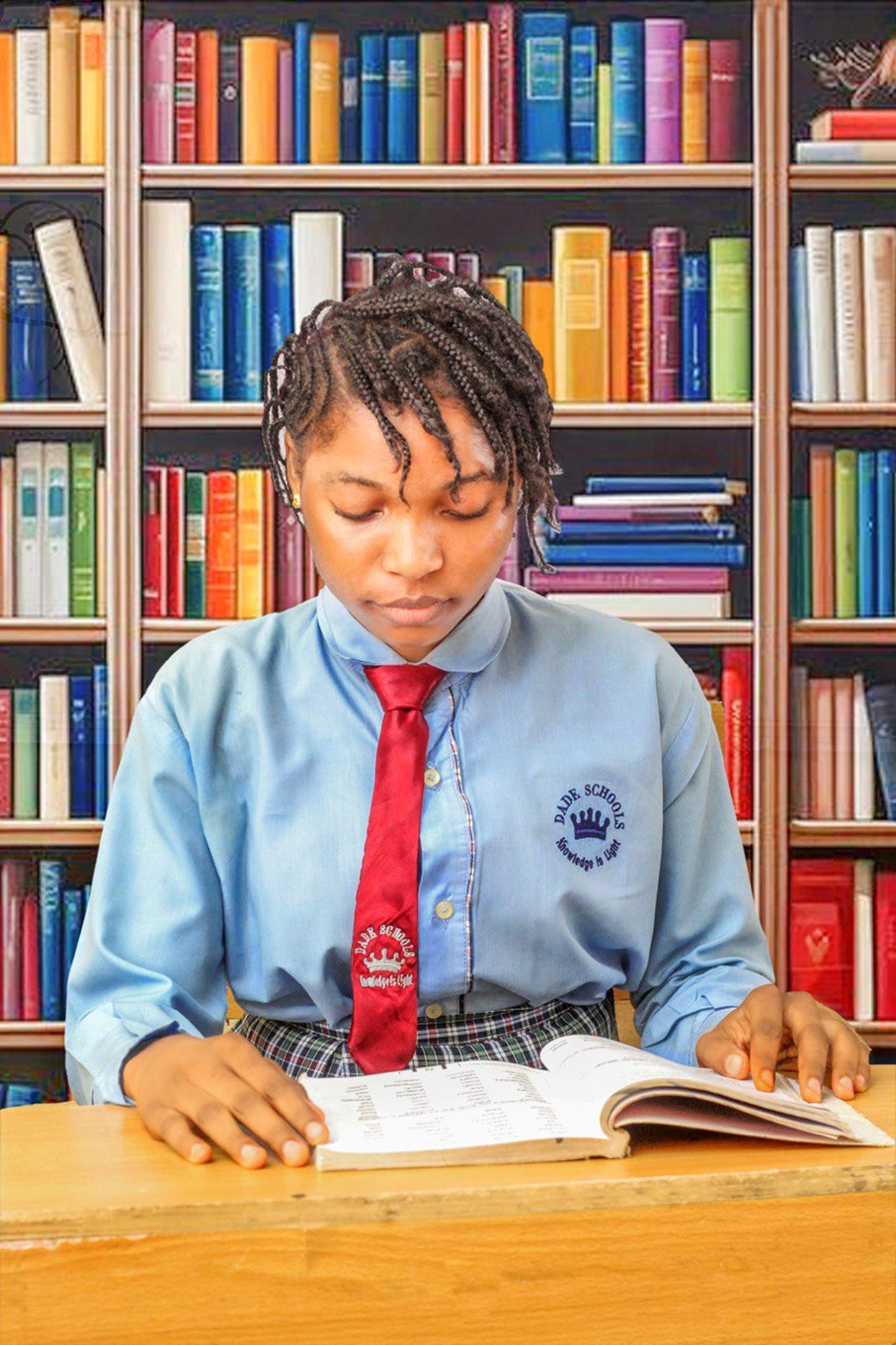 Dade Group of Schools student studying in the library